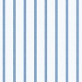 Baby Blue Striped Twill