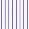 VY Bold Purple Striped Twill