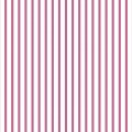Pink Striped Oxford