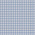 VY Blue White Gingham Twill
