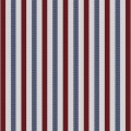 VY Bold Red Blue Stripes